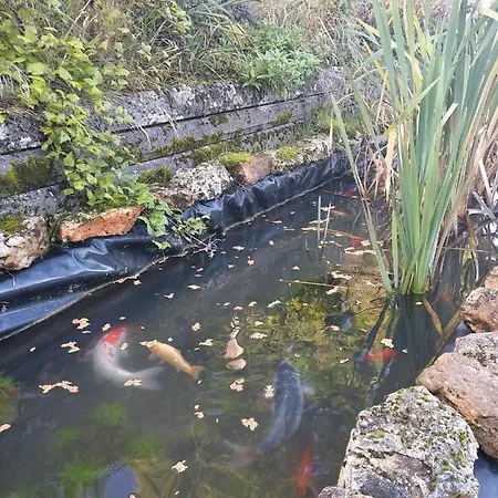 Moulin De La Chamblon En Pleine Nature Parmi Les Chevaux Proche Chateau Thierry Дом отдыха Montfaucon (Aisne)