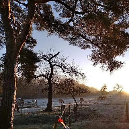 Moulin De La Chamblon En Pleine Nature Parmi Les Chevaux Proche Chateau Thierry Дом отдыха Montfaucon (Aisne)
