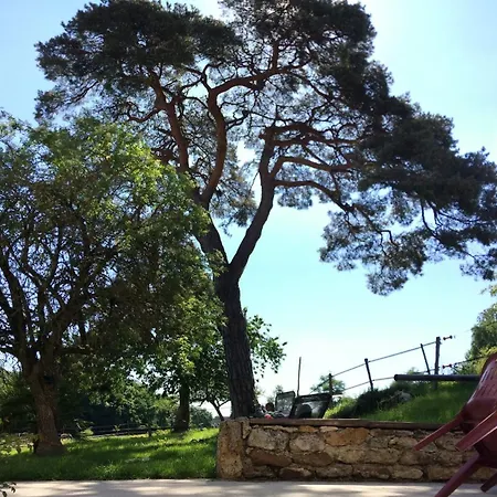 Moulin De La Chamblon En Pleine Nature Parmi Les Chevaux Proche Chateau Thierry * Montfaucon (Aisne)